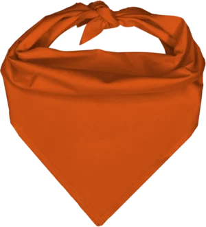 Pet Triangle Solid Bandana, 22X 30X 22, 1Pc, Orange,