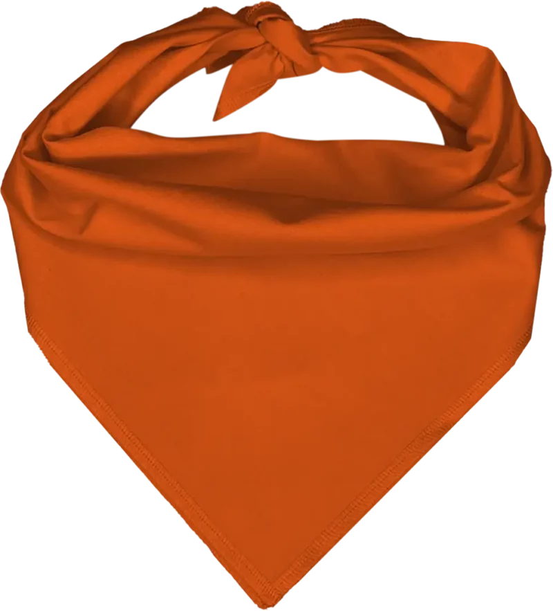 BNTS0100_22_0165_0001_S-Orange