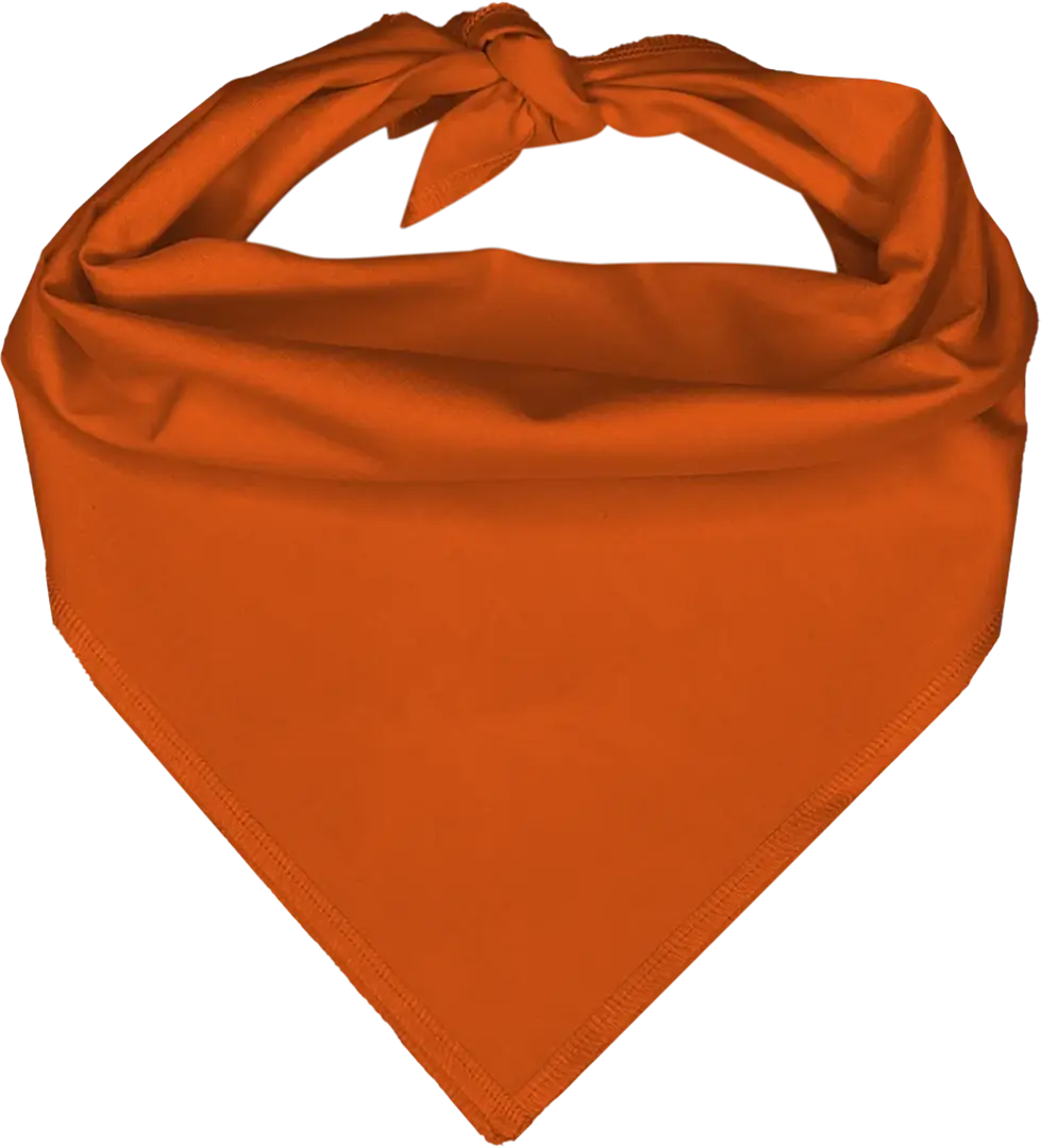 Orange Solid Triangle BANDANA - Single Piece 18x25x18**