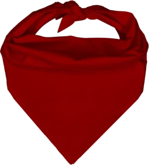 Pet Triangle Solid Bandana, 22X 30X 22, 1Pc, Red,
