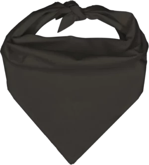 Pet Triangle Solid Bandana, 22X 30X 22, 1Pc, Dark Grey,