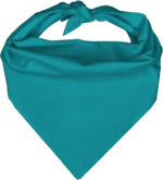 Pet Triangle Solid Bandana, 22X 30X 22, 1Pc, Turquoise,