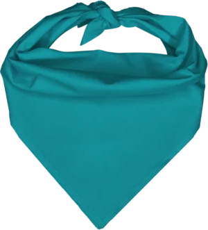 Pet Triangle Solid Bandana, 22X 30X 22, 1Pc, Turquoise,