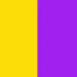Yellow and Purple