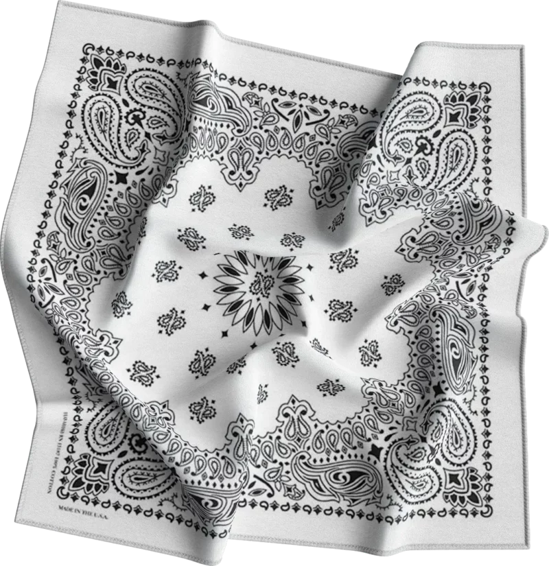 BNSP0950_22_0002_0001-White