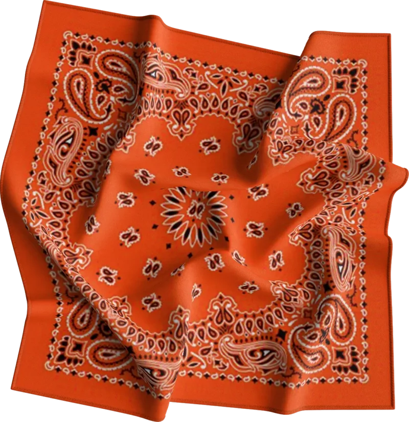 BNSP0950_22_0165_0001-Orange