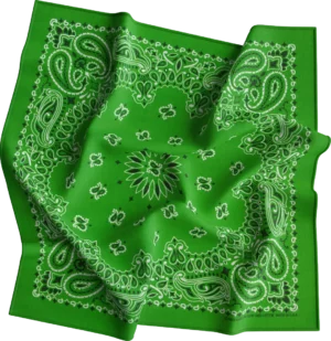 1 piece, CM Western Paisley Bandanas in Bulk Imported 100% cotton, Kelly Green, 22" x 22"
