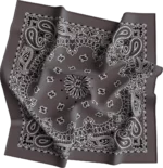 1 piece, CM Western Paisley Bandanas in Bulk Imported 100% cotton, Charcoal Grey, 22" x 22"