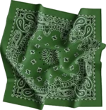 1 piece, CM Western Paisley Bandanas in Bulk Imported 100% cotton, Hunter Green, 22" x 22"