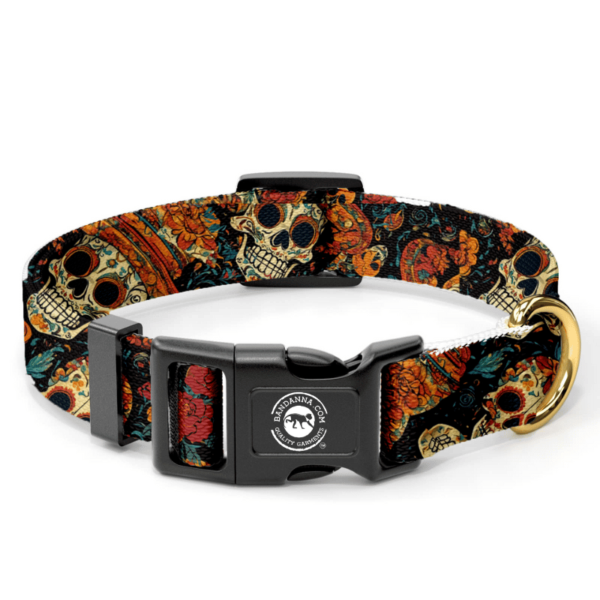 A vibrant dog collar features a pattern of colorful skulls and flowers on a dark background securing with a plastic buckle and a gold ring for attaching a leash.