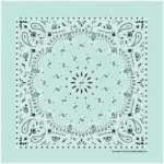 12 pieces, Western Paisley Bandana - Made in USA 100% Cotton, Mint Green, 22" x 22"