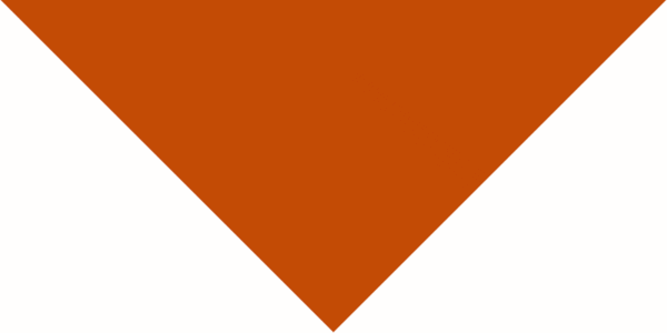 Burnt Orange (Rust) Pet Triangle Solid Bandana - Imported - 100% Cotton - 14" x 20" x 14" - 1 piece