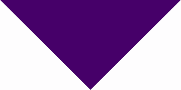 Purple Pet Triangle Solid Bandana - Imported - 100% Cotton - 14" x 20" x 14" - 1 piece