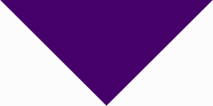 Pet Triangle Solid Bandana, 14X 20X 14, 1Pc, Purple ,  Grape,