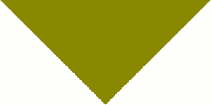 Pet Triangle Solid Bandana, 22X 30X 22, 12Pcs, Olive Green,