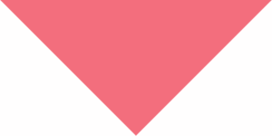 Pet Triangle Solid Bandana, 27X 38X 27, 12Pcs, Pink,