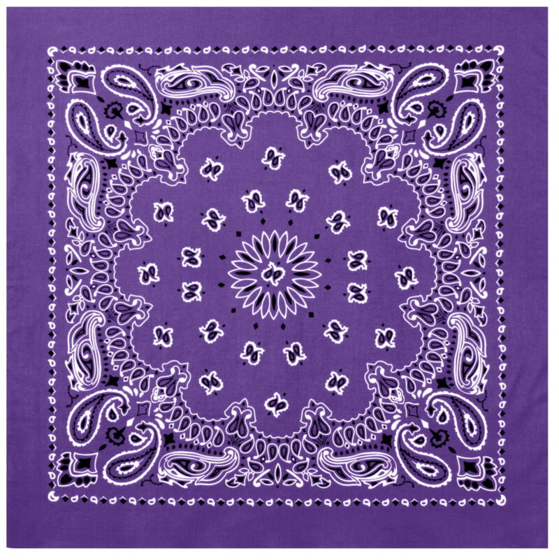 Rothco-Trainmen-Paisley-Bandana-Extra-Large-27-X-27_ff12be82-9e41-4a76-9bf7-bd495ae3dd1b.feacd0461d91494becab28bbf44228f5-1