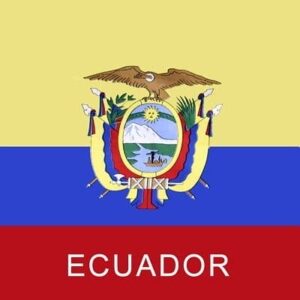 Ecuador Flag Bandana - 22x22 Inch - 22" x 22", 1 piece