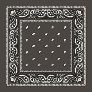 Classic Paisley Bandana Imported, 14X14, 12 Pieces, Dark Grey