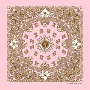 Good Sports Floral Paisley Bandana - 22x22 Inch - 12 pieces