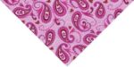 Princess Paw Paisley Triangle Bandana - 22x29x22 Inch - 12 pieces