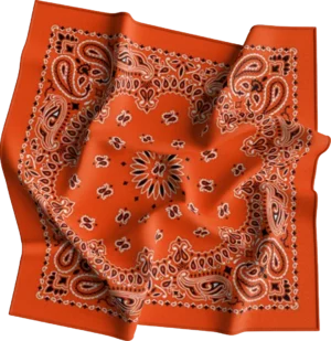 1 piece, CM Western Paisley Bandanas in Bulk Imported 100% cotton, Orange, 22" x 22"