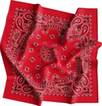 1 piece, CM Western Paisley Bandanas in Bulk Imported 100% cotton, Red, 22" x 22"