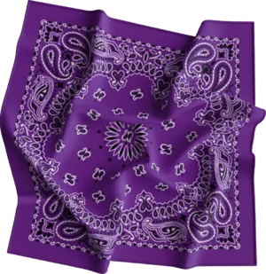 12 pieces, CM Western Paisley Bandanas in Bulk Imported 100% cotton, Purple / Grape, 22" x 22"