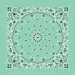 1 piece, CM Western Paisley Bandanas in Bulk Imported 100% cotton, Mint Green, 22" x 22"