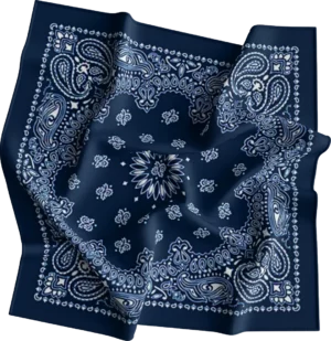 12 pieces, CM Western Paisley Bandanas in Bulk Imported 100% cotton, Navy Blue, 22" x 22"