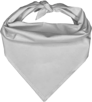 Pet Triangle Solid Bandana, 22X 30X 22, 1Pc, White,