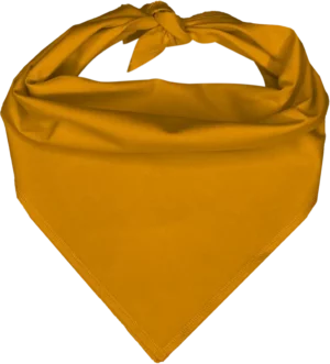 Pet Triangle Solid Bandana, 14X 20X 14, 12Pcs, Gold,