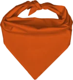 Pet Triangle Solid Bandana, 27X 38X 27, 1Pc, Orange,