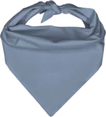 Pet Triangle Solid Bandana, 14X 20X 14, 12Pcs, Light Blue,