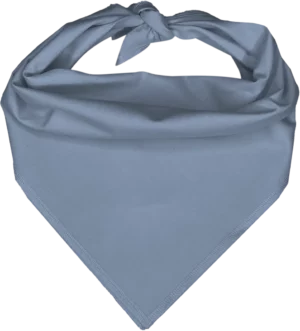 Pet Triangle Solid Bandana, 22X 30X 22, 600Pcs, Light Blue,