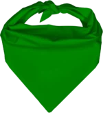 Pet Triangle Solid Bandana, 14X 20X 14, 12Pcs, Kelly Green,