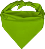 Pet Triangle Solid Bandana, 22X 30X 22, 600Pcs, Lime Green,