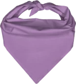 Pet Triangle Solid Bandana, 27X 38X 27, 1Pc, Lilac,