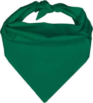 Pet Triangle Solid Bandana, 22X 30X 22, 12Pcs, Teal,