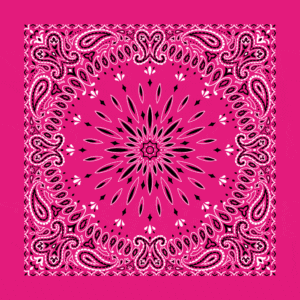 1 piece, Circular Burst Paisley Bandana Imported 100% Cotton, Hot Pink, 22" x 22"
