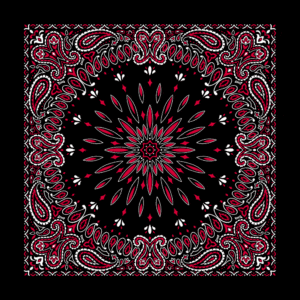 12 pieces, Circular Burst Paisley Bandana Imported 100% Cotton, Black with Red, 22" x 22"
