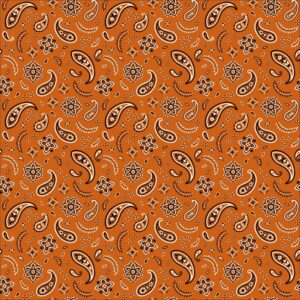 600pcs/Case, All Over Paisley Bandana Imported 100% Cotton, Burnt Orange (Rust), 22" x 22"