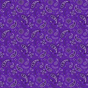 12 pieces, All Over Paisley Bandana Imported 100% Cotton, Purple / Grape, 22" x 22"