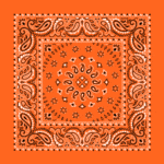 Orange, Square Burst Paisley Bandana Imported 100% Cotton, 1 piece, 22" x 22"
