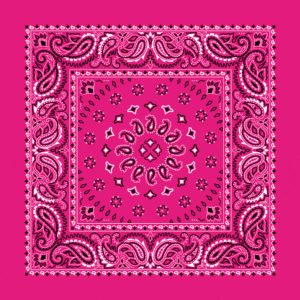 Hot Pink, Square Burst Paisley Bandana Imported 100% Cotton, 1 piece, 22" x 22"