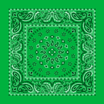 Kelly Green, Square Burst Paisley Bandana Imported 100% Cotton, 1 piece, 22" x 22"