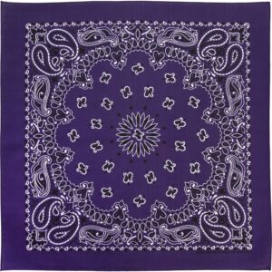 600pcs/Case, Western Paisley Bandana - Made in USA 100% Cotton, Purple / Grape, 22" x 22"