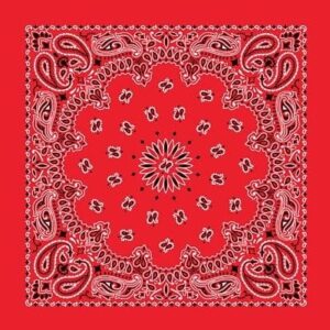 600pcs/Case, Western Paisley Bandana - Made in USA 100% Cotton, Red, 22" x 22"