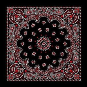 12 pieces, Western Paisley Bandana - Made in USA 100% Cotton, Black and Red (SS), 22" x 22"