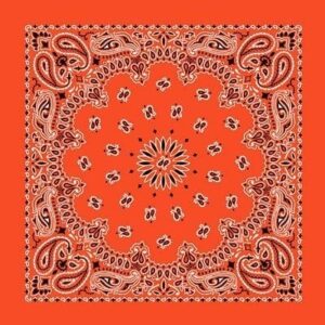 12 pieces, CM Western Paisley Bandanas in Bulk Imported 100% cotton, Orange, 22" x 22"